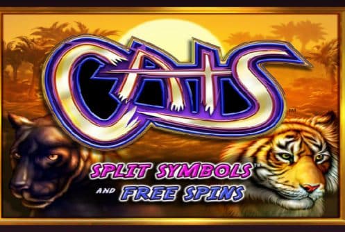 Play Cats Slot Machine Free